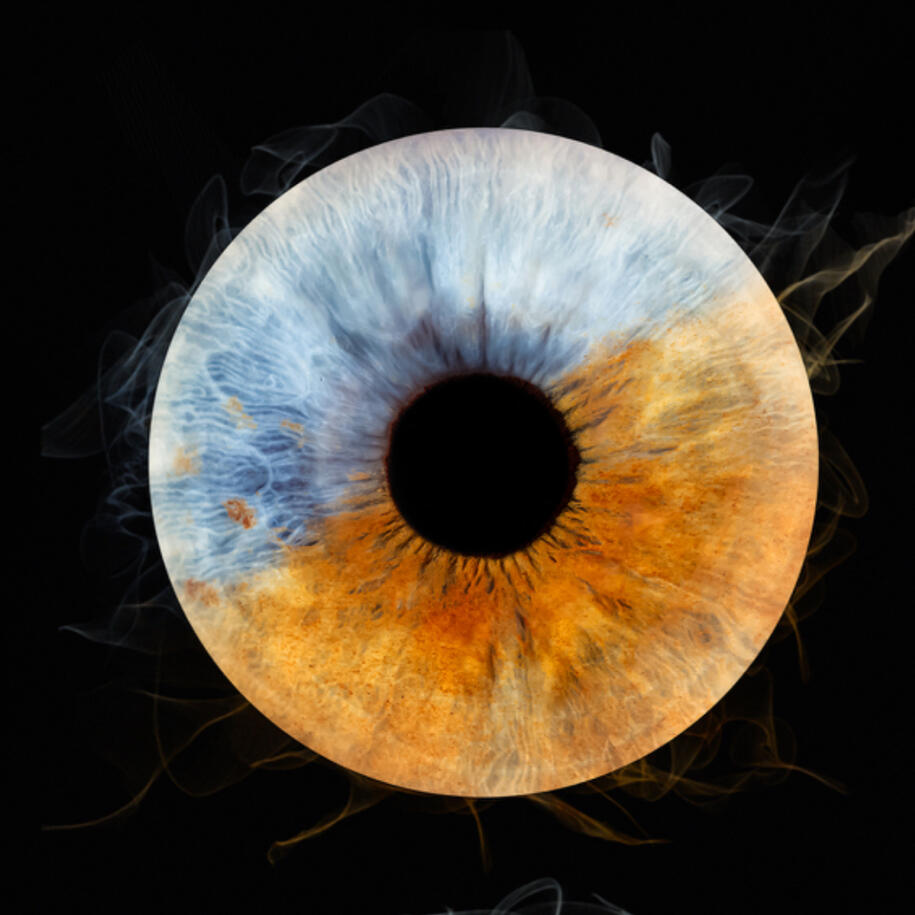 Photographie iris macro — studio Deux-Quatre, Guebwiller 1