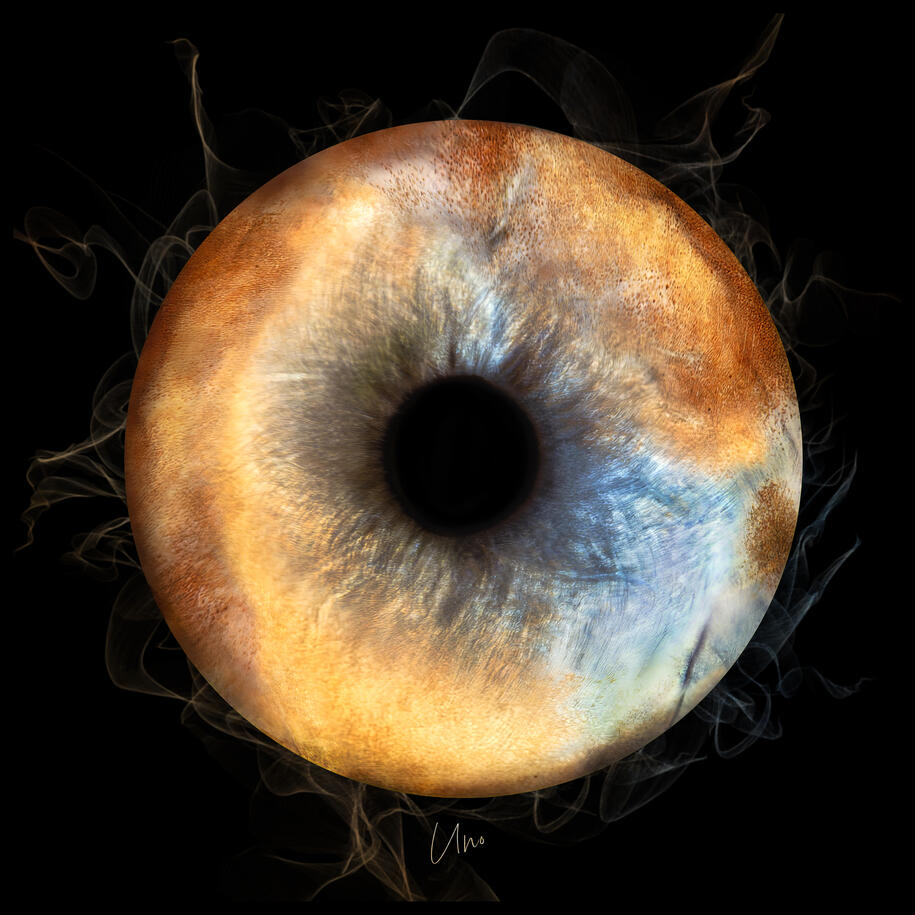 Photographie iris animal macro — studio Deux-Quatre, Guebwiller 3 Photographie iris animal macro — studio Deux-Quatre, Guebwiller 3