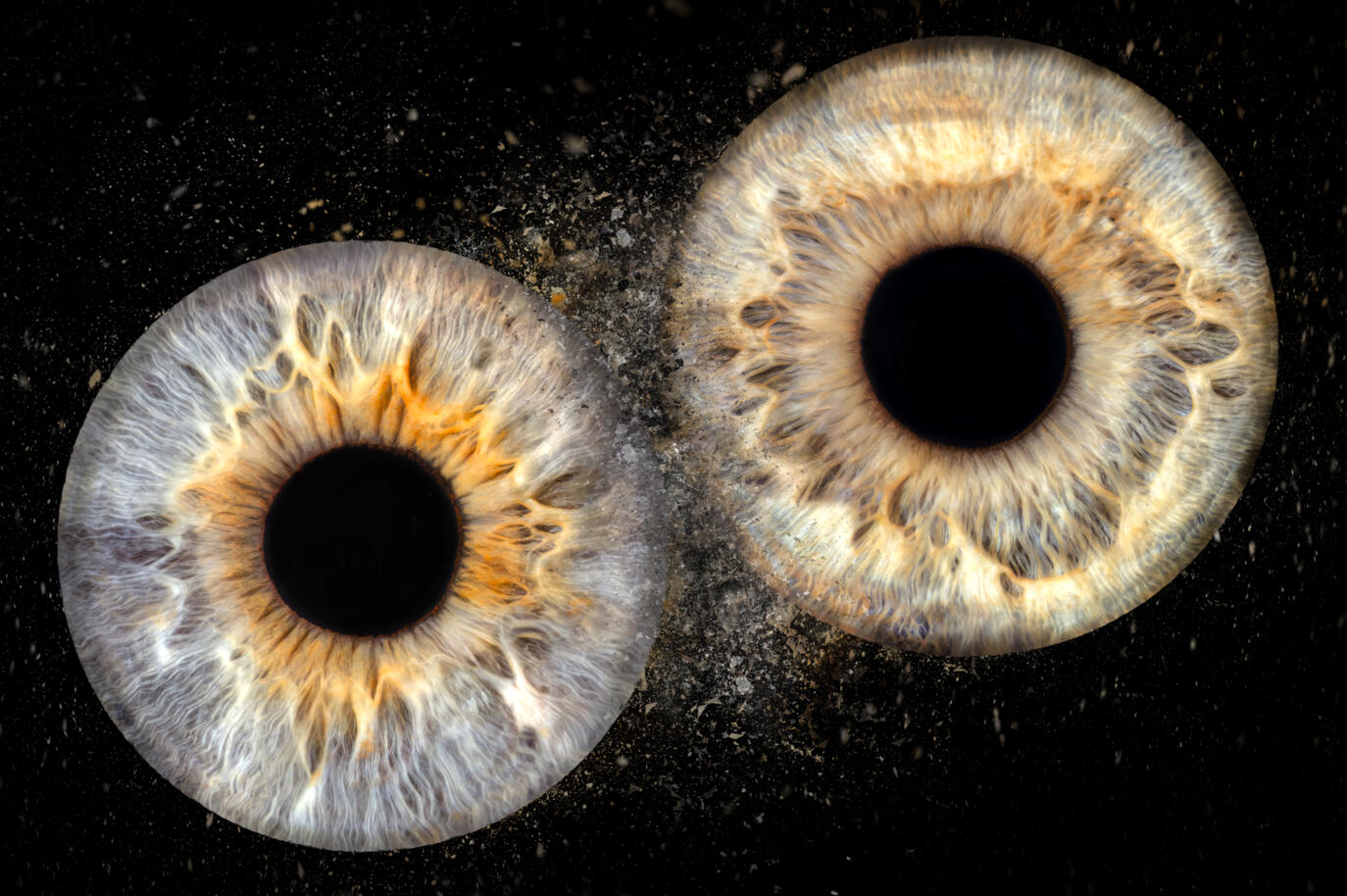 Photographie iris — studio Deux-Quatre, Guebwiller 3 Photographie iris — studio Deux-Quatre, Guebwiller 3