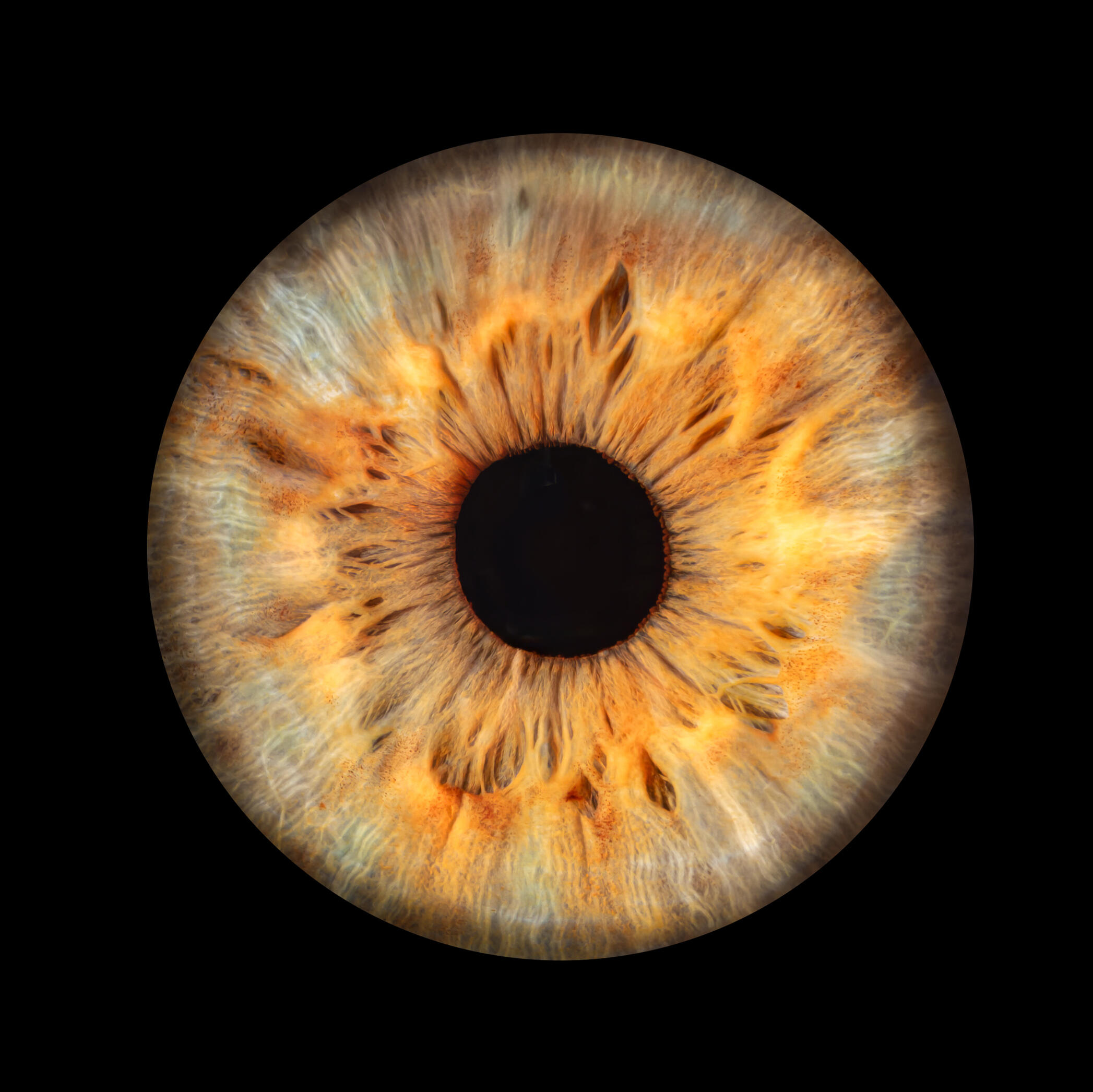 Gros plan iris humain — studio Deux-Quatre, Guebwiller 1